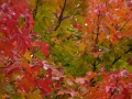 2008-09-22 Sauerland184