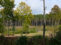 2008-09-22 Sauerland196