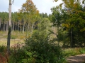 2008-09-22 Sauerland197