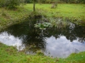 2008-10-08 Waalwijk002