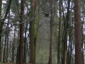 2008-12-03 Haelen001