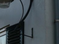 2009-01-28 Heeswijk004