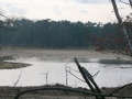 2009-02-11 Oosterhout005