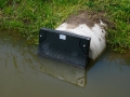 2009-06-17 Biezenmortel012