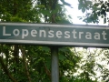2009-07-15 GroeneWoud007