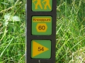 2009-07-29 Hapert009