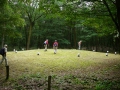 2009-08-12 Oerle011