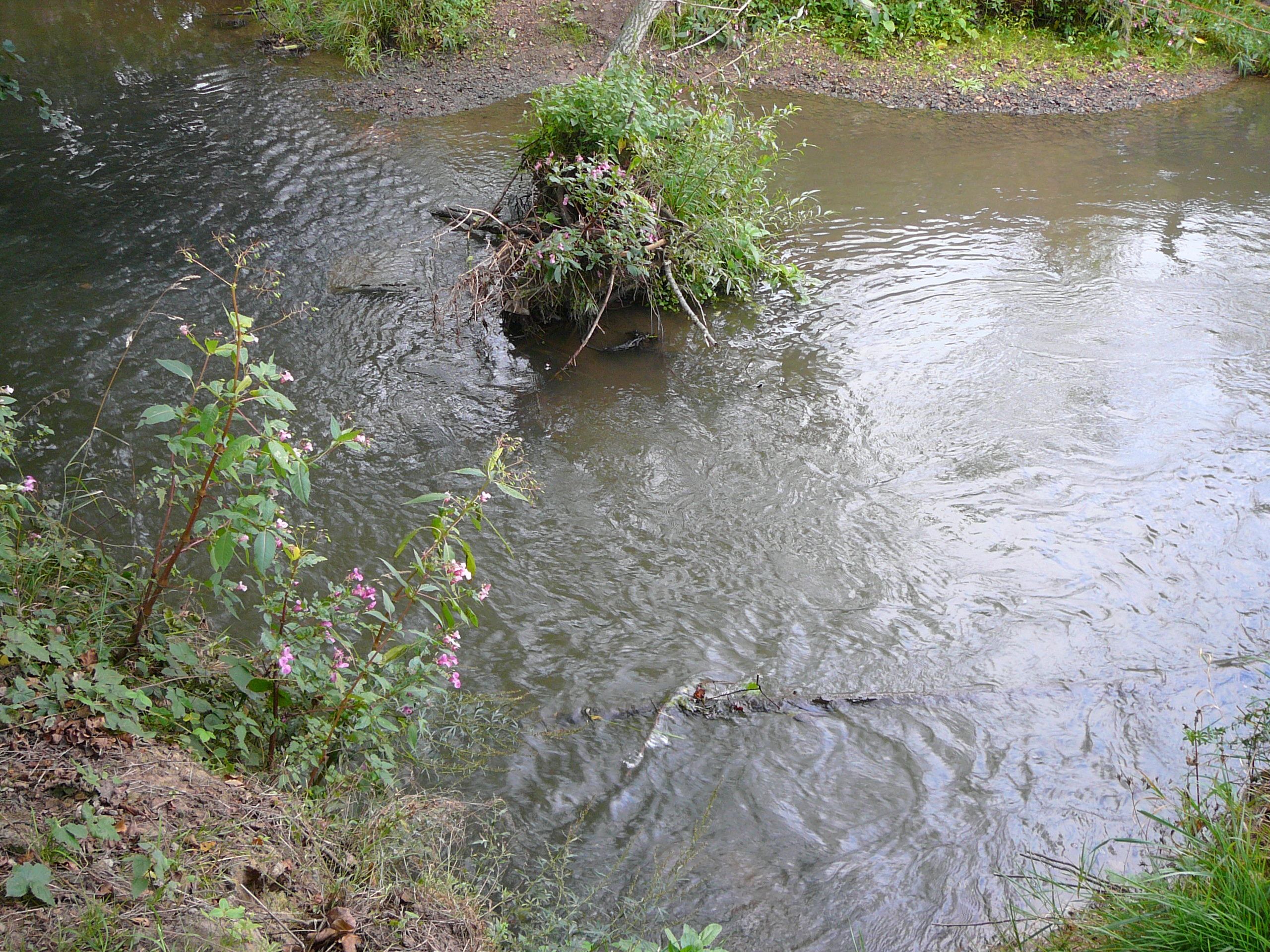 2009-09-14 Limburgweek053