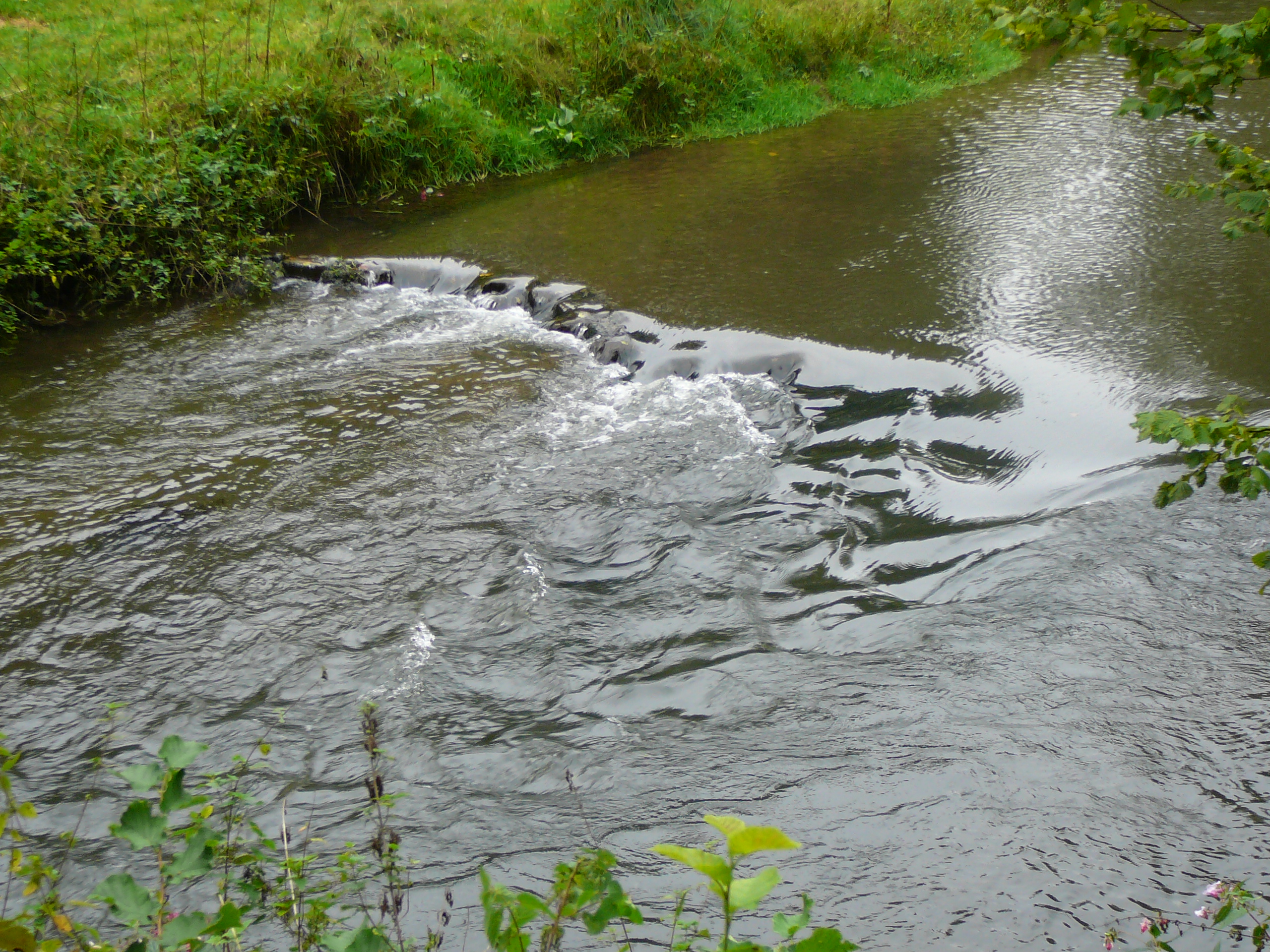 2009-09-14 Limburgweek157