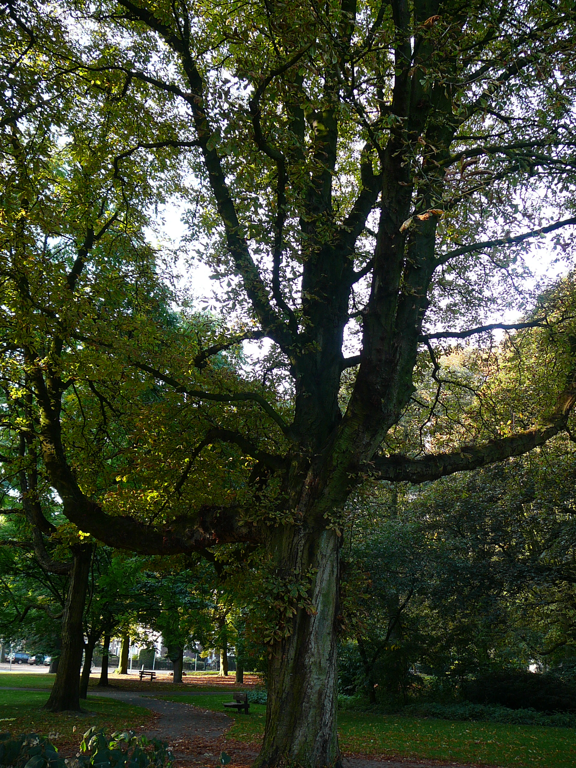 2009-09-14 Limburgweek222