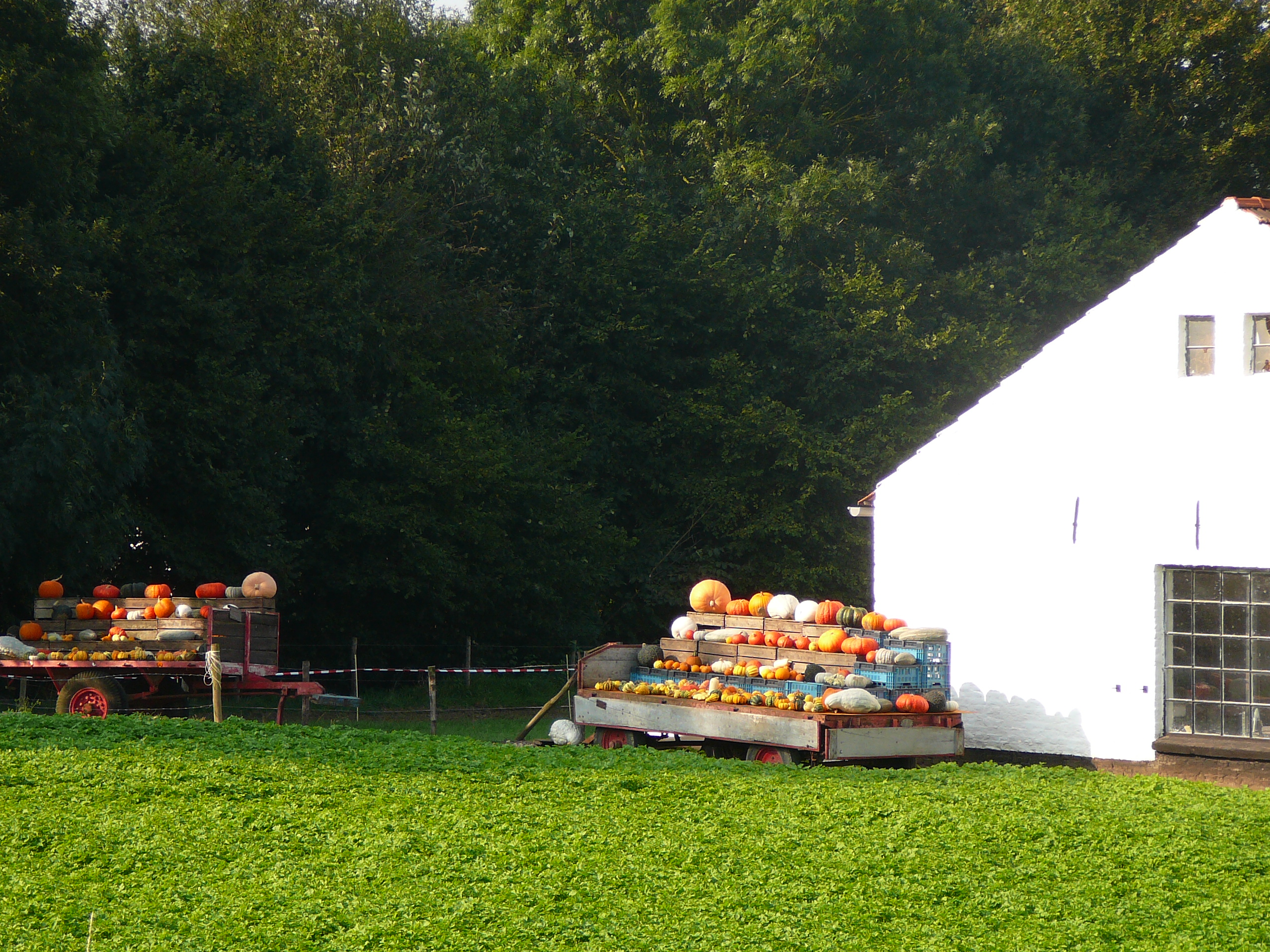 2009-09-14 Limburgweek228