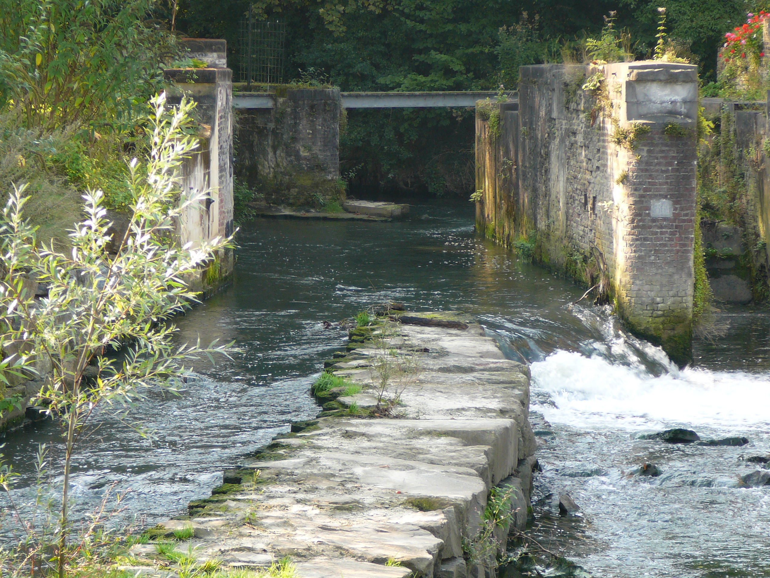2009-09-14 Limburgweek231