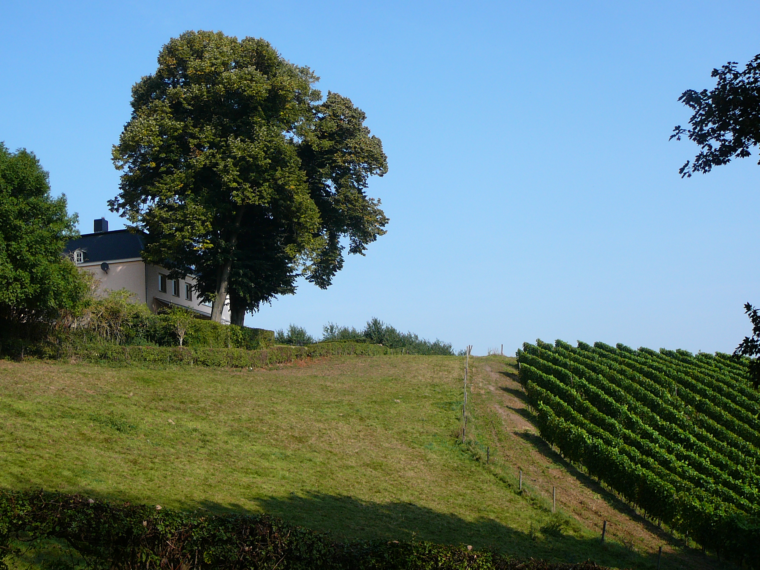 2009-09-14 Limburgweek234