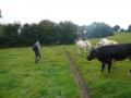 2009-09-14 Limburgweek074