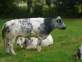 2009-09-14 Limburgweek075