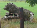 2009-09-14 Limburgweek078