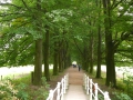 2009-09-14 Limburgweek134