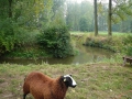 2009-09-14 Limburgweek154