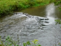 2009-09-14 Limburgweek157