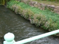 2009-09-14 Limburgweek161