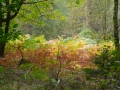 2009-09-14 Limburgweek183
