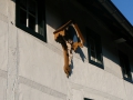 2009-09-14 Limburgweek209