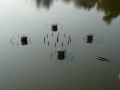 2009-09-14 Limburgweek219