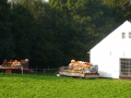 2009-09-14 Limburgweek228