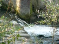 2009-09-14 Limburgweek230