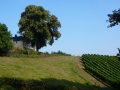 2009-09-14 Limburgweek234