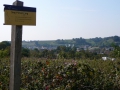 2009-09-14 Limburgweek240