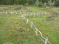2009-10-07 Kampina004