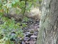 2009-10-07 Kampina006