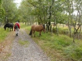 2009-10-07 Kampina014