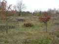 2009-11-18 15-jarigbestaan012