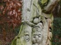 2009-11-30 Maarheeze002