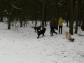 2010-01-13 Best007