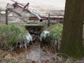 2010-01-27 Hilvarenbeek007