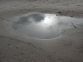 2010-02-24 Gastel002