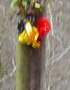 2010-02-24 Gastel007