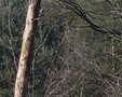 2010-03-11 Uden-Slabroek001