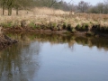 2010-03-24 Borkel007
