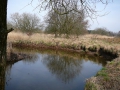 2010-03-24 Borkel008