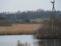 2010-03-24 Borkel016