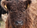 2010-03-24 Borkel020