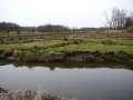 2010-03-24 Borkel029