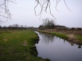 2010-03-24 Borkel032