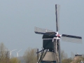 2010-04-07 Meerkerk008