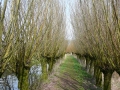 2010-04-07 Meerkerk023