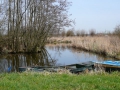 2010-04-07 Meerkerk032